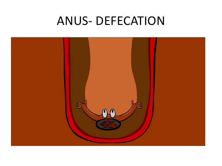 apple in anus Apple in anus